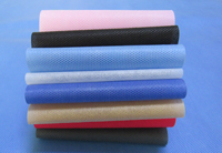 叶县涤纶（PET）无纺布是什么