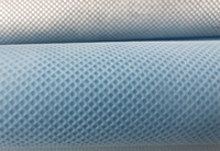 叶县(PP)丙纶无纺布跟(PET)涤纶无纺布的区别